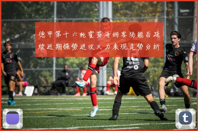 德甲第十六轮霍芬海姆客场能否延续近期强势进攻火力表现走势分析
